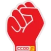 CCOO APP