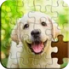 Jigsaw Puzzle