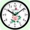 Skin Analog Clock-7