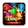 Free Bingo Guide