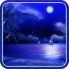 Night Beach Live Wallpaper