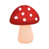 Shroomify - Mushroom Identific