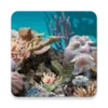 3D Aquarium Live Wallpaper