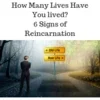 Reincarnation