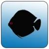 Aquarium Calculator