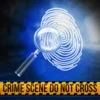 Detective: Detroit Crime Story