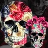 Skull Wallpapers Mobile