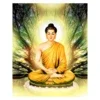 Buddha Quotes in Hindi