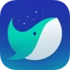 Naver Whale Browser