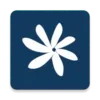 Air Tahiti Nui