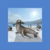 Sea Lion Simulator 3D