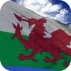 Wales Flag