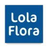 LolaFlora - Flower Delivery