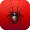 Spider Solitaire Card Game