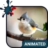 Birdy Animated Keyboard + Live Wallpaper