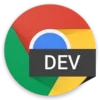 Chrome Dev