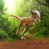 Pachycephalosaurus Simulator