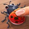 Insect smasher games for ki