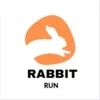 Rabbit Run