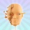 Face Sculpt 3D