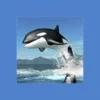 Orca Survival Simulator