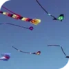 Kites Live Wallpaper