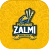 Official Peshawar Zalmi PSL Li