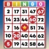 Bingo - Offline Bingo Games