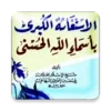 الاستغاثة الكبرى