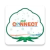 Rasi Connect