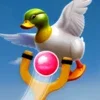 Slingshot Duck Hunter Fps