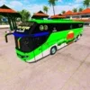 Bus skin bd