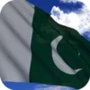 Pakistan Flag