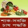 শাক-সবজি চাষ পদ্ধতি