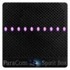 ParaCom Spirit Box