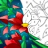 Paint by Number: Free Coloring Book