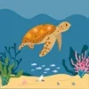 Sea Animals Quiz