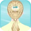 Super Braid Hairdresser HD