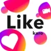 Like Karo