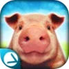 Pig Simulator