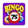 Bingo Craze