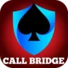 Call Bridge Card Game Offline