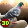 City Bird Pigeon Simulator 3D