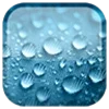 Raining Day Live Wallpaper