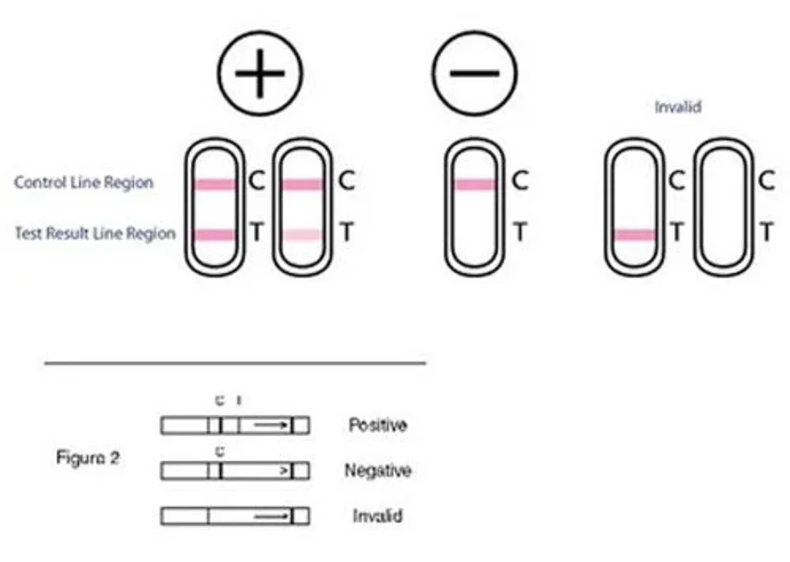 Free Pregnancy Test for Android: Accurate Testing Guide