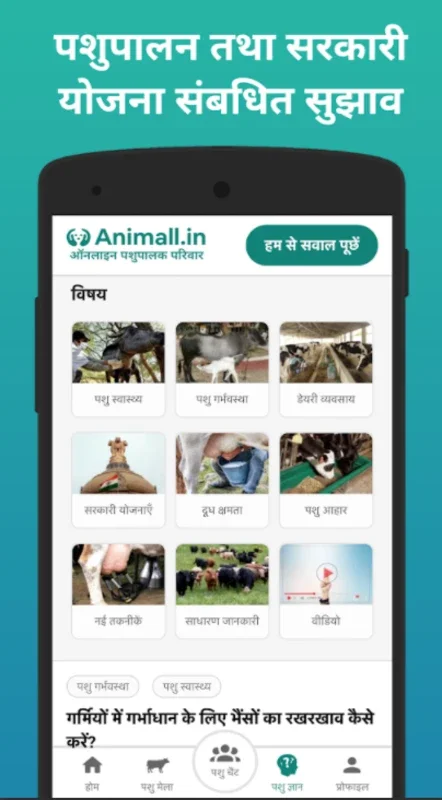 Animall for Android - Download the APK from AppHuts