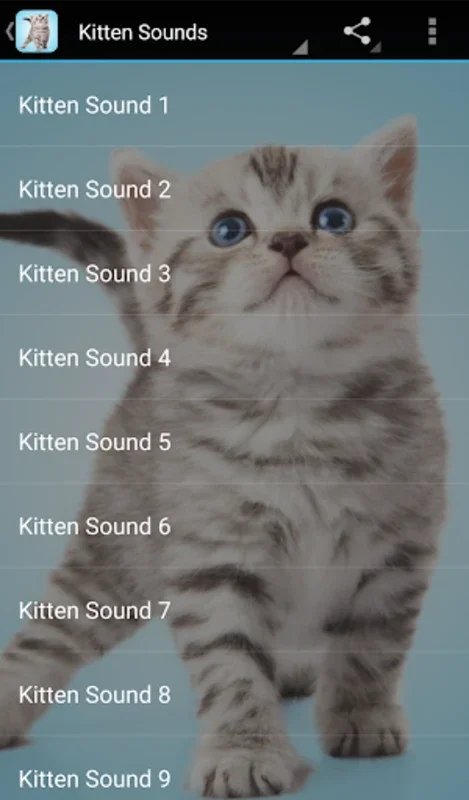 Kitten Sounds for Android - A Charming Sound Experience