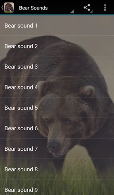 Bear Sounds for Android - Uncover Bear Communication