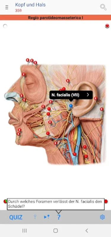 PROMETHEUS LernKarten for Android - Enhance Your Anatomy Learning