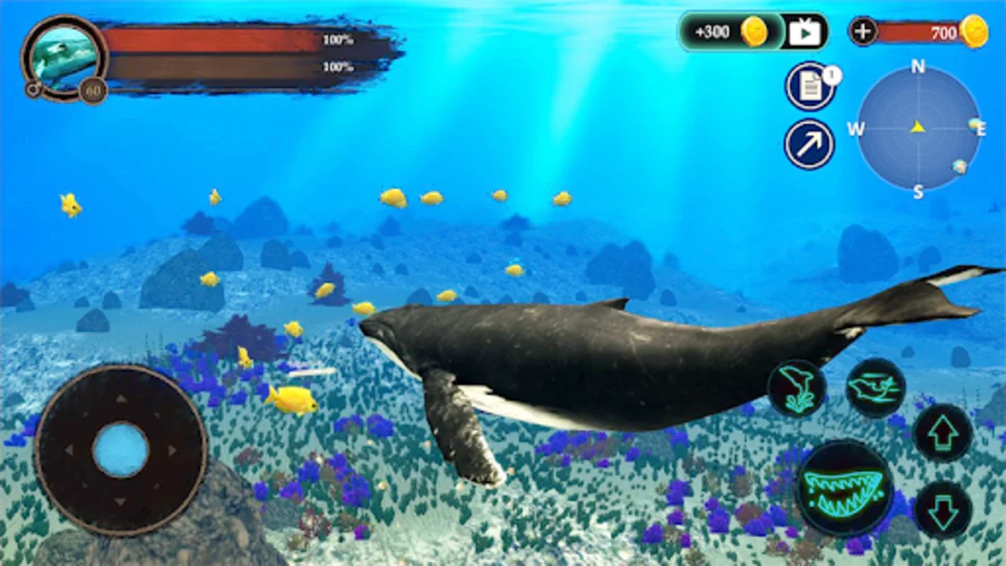 The Humpback Whales for Android - Immersive Ocean Adventure